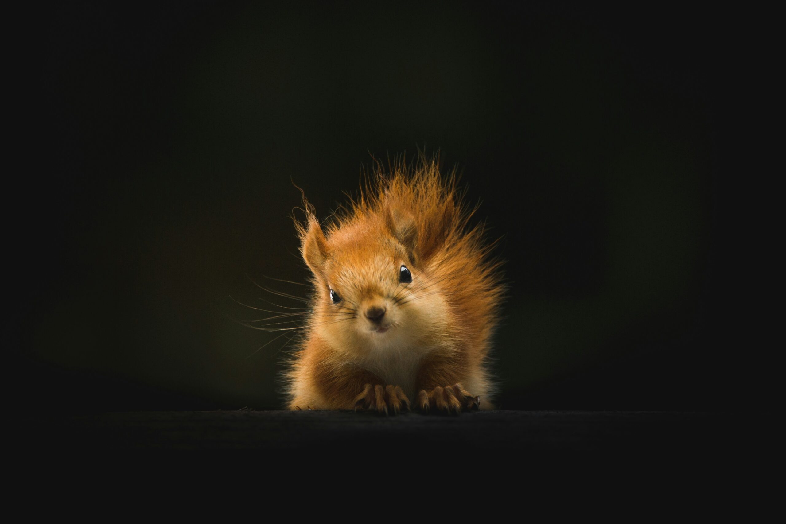 Hello world!